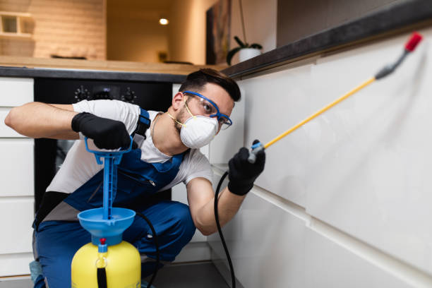 Best Best Pest Control Companies  in Old Hill, CT