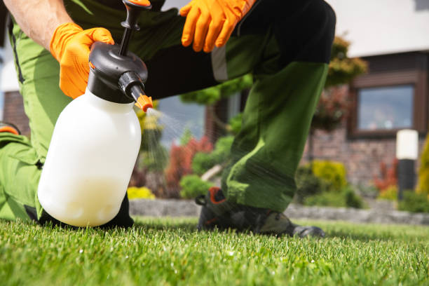 Reliable Old Hill, CT Pest Control Solutions