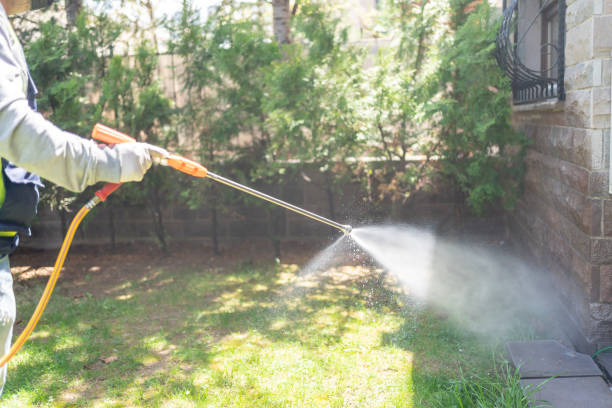 Best Ant Control Services  in Old Hill, CT