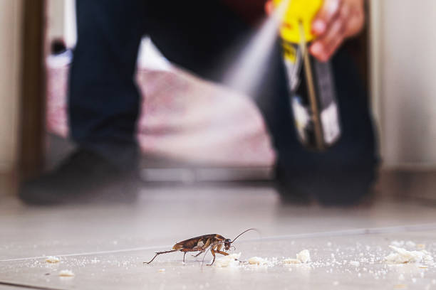 Best Pest Removal Services  in Old Hill, CT